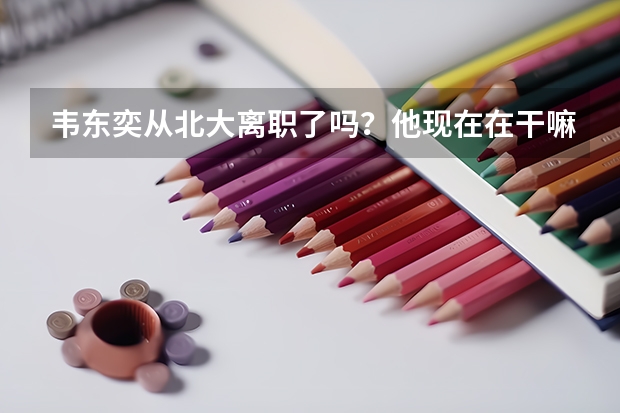 韦东奕从北大离职了吗？他现在在干嘛？