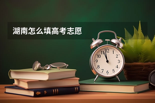 湖南怎么填高考志愿
