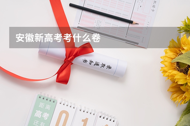 安徽新高考考什么卷