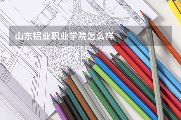 山东铝业职业学院怎么样