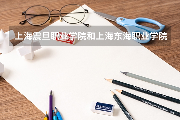上海震旦职业学院和上海东海职业学院哪个好