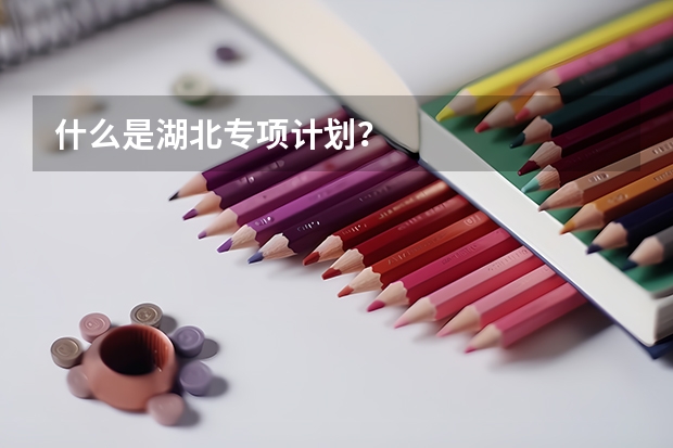 什么是湖北专项计划？