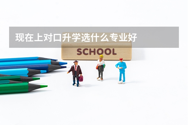现在上对口升学选什么专业好