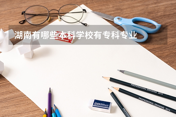 湖南有哪些本科学校有专科专业