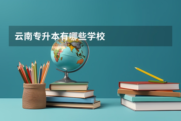 云南专升本有哪些学校
