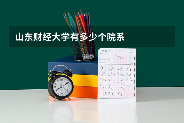 山东财经大学有多少个院系