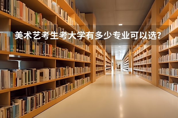 美术艺考生考大学有多少专业可以选？