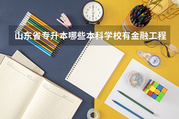 山东省专升本哪些本科学校有金融工程专业？