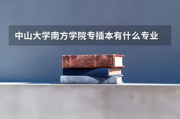 中山大学南方学院专插本有什么专业