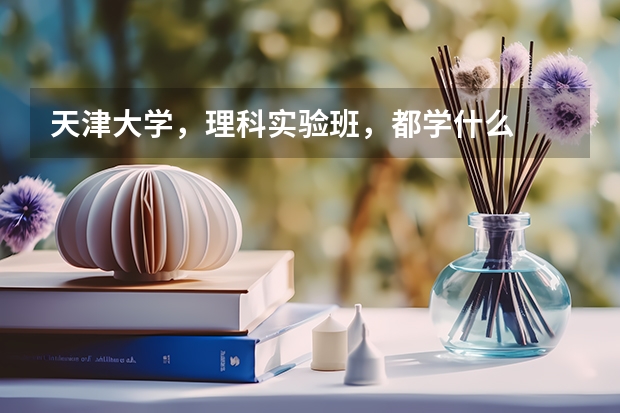 天津大学，理科实验班，都学什么