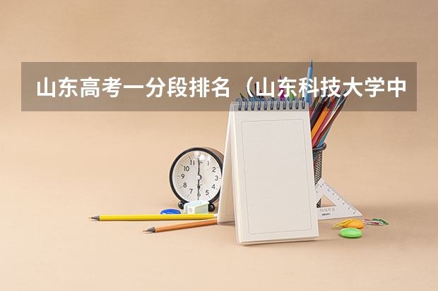 山东高考一分段排名(山东科技大学中外合作办学分数线)