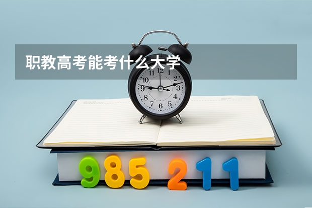 职教高考能考什么大学