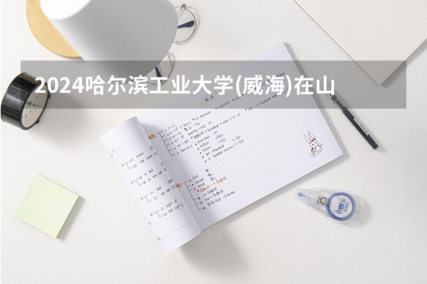2024哈尔滨工业大学(威海)在山东招生计划