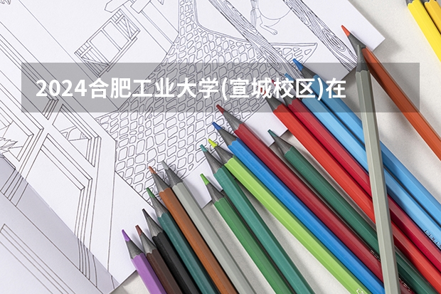 2024合肥工业大学(宣城校区)在山东招生计划
