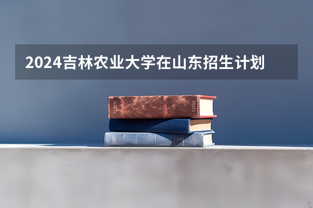 2024吉林农业大学在山东招生计划