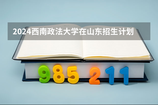 2024西南政法大学在山东招生计划