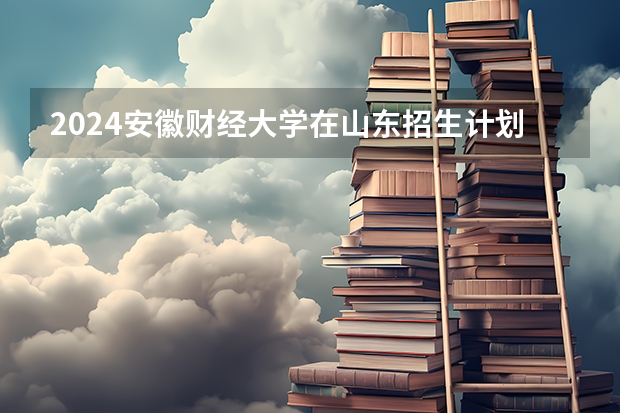 2024安徽财经大学在山东招生计划