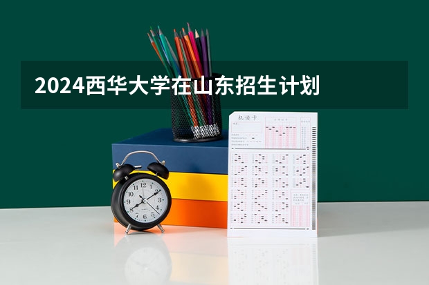 2024西华大学在山东招生计划