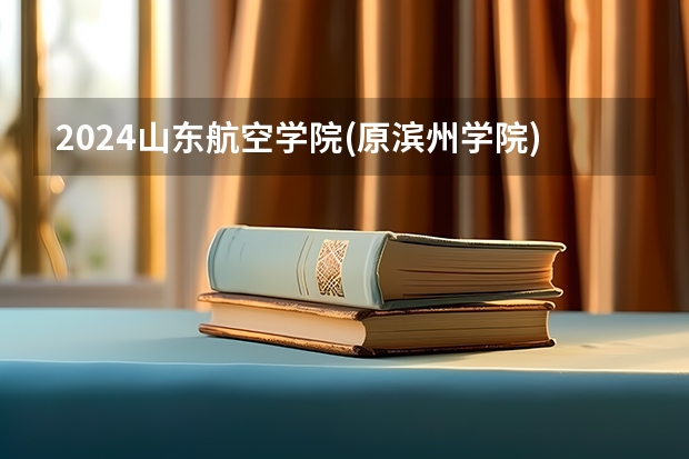 2024山东航空学院(原滨州学院)在山东招生计划