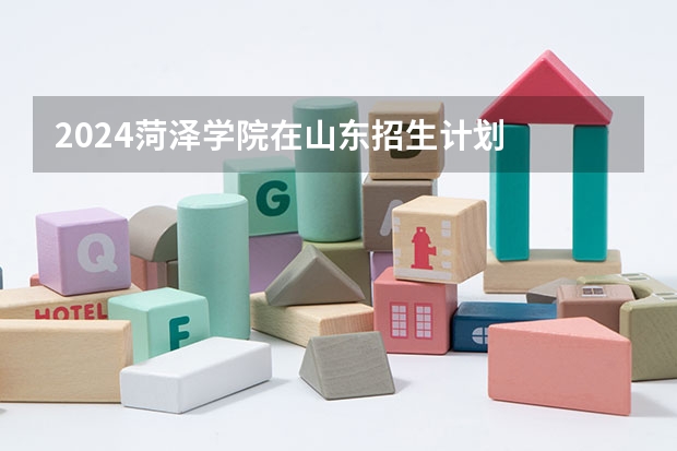 2024菏泽学院在山东招生计划