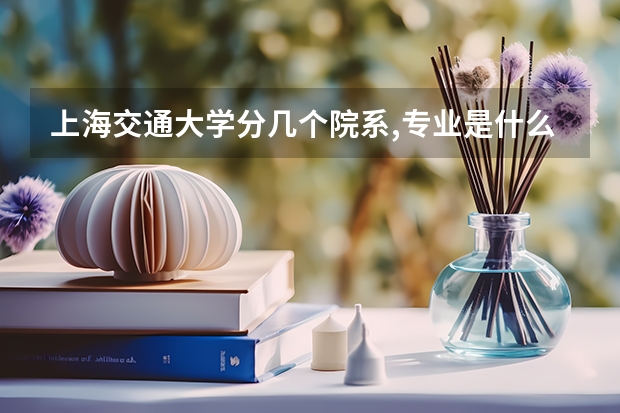 上海交通大学分几个院系,专业是什么?