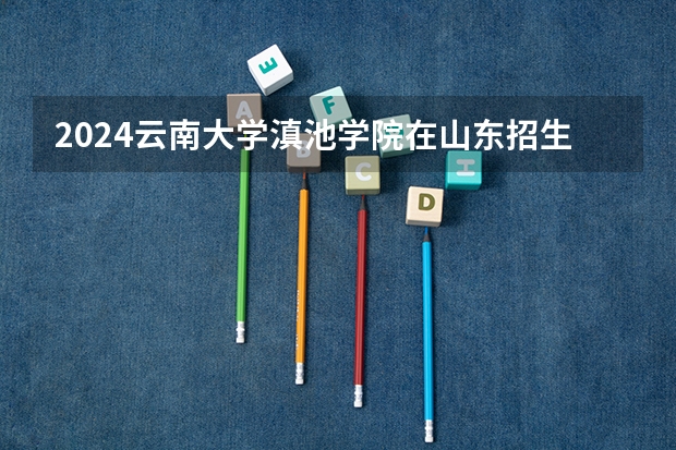 2024云南大学滇池学院在山东招生计划