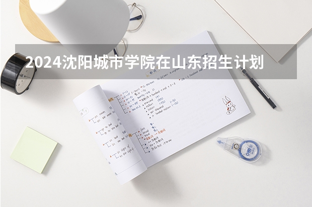 2024沈阳城市学院在山东招生计划