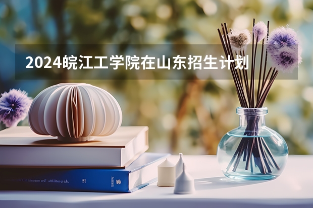 2024皖江工学院在山东招生计划