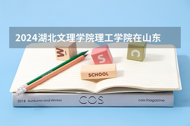 2024湖北文理学院理工学院在山东招生计划