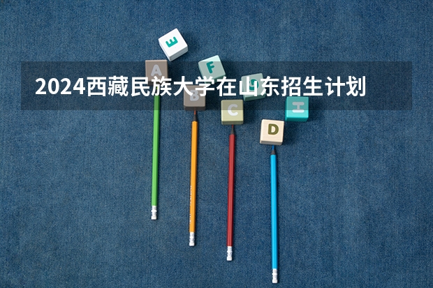 2024西藏民族大学在山东招生计划