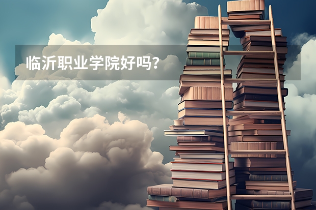 临沂职业学院好吗？