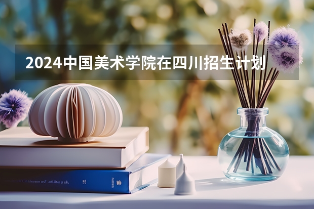 2024中国美术学院在四川招生计划