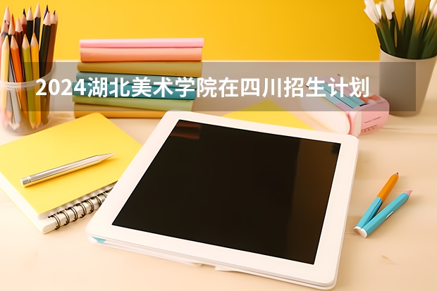 2024湖北美术学院在四川招生计划