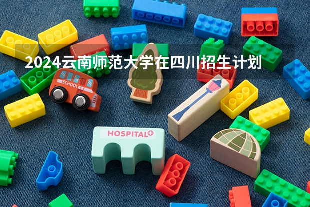 2024云南师范大学在四川招生计划
