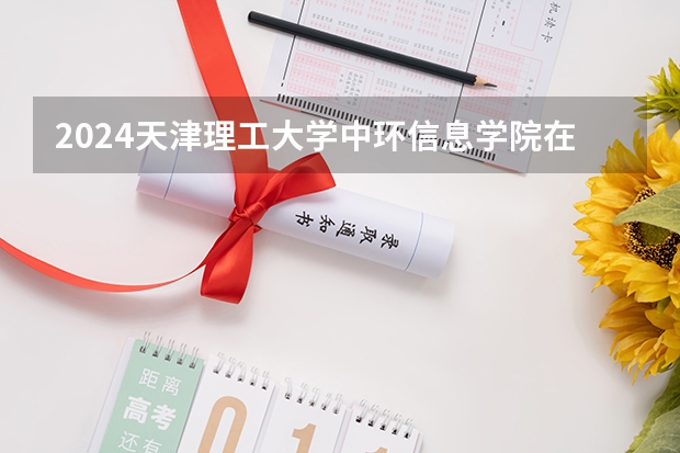 2024天津理工大学中环信息学院在吉林招生计划