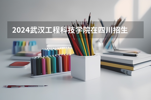 2024武汉工程科技学院在四川招生计划