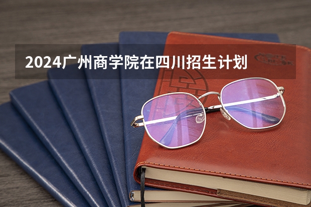 2024广州商学院在四川招生计划