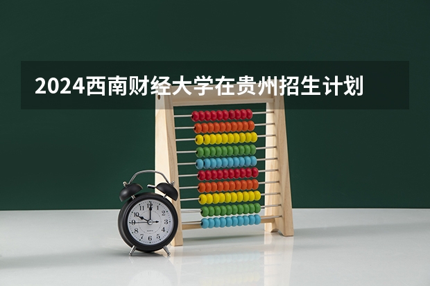 2024西南财经大学在贵州招生计划