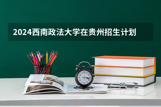 2024西南政法大学在贵州招生计划