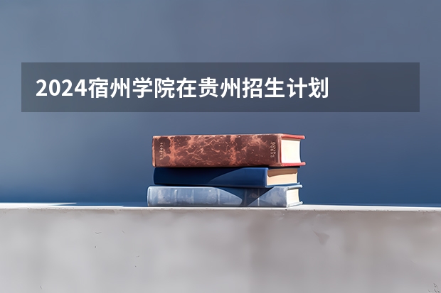 2024宿州学院在贵州招生计划