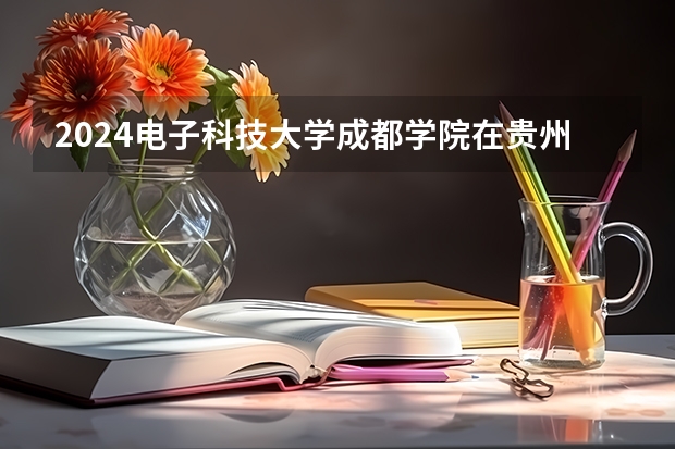 2024电子科技大学成都学院在贵州招生计划