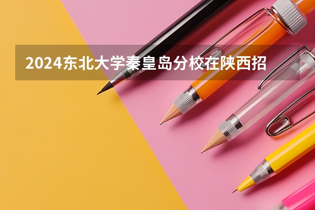 2024东北大学秦皇岛分校在陕西招生计划
