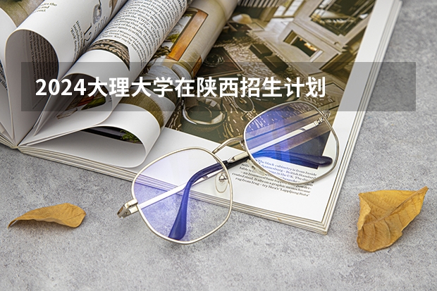 2024大理大学在陕西招生计划