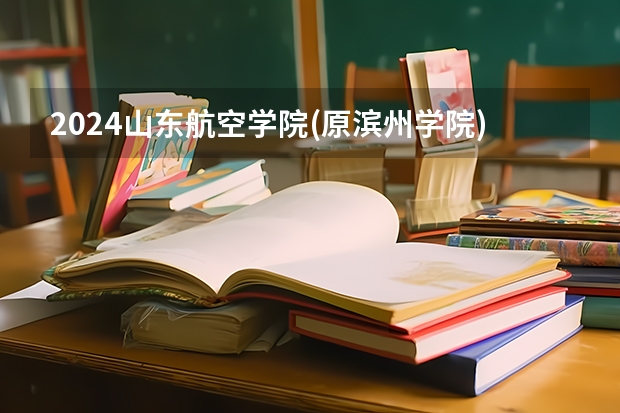 2024山东航空学院(原滨州学院)在广西招生计划