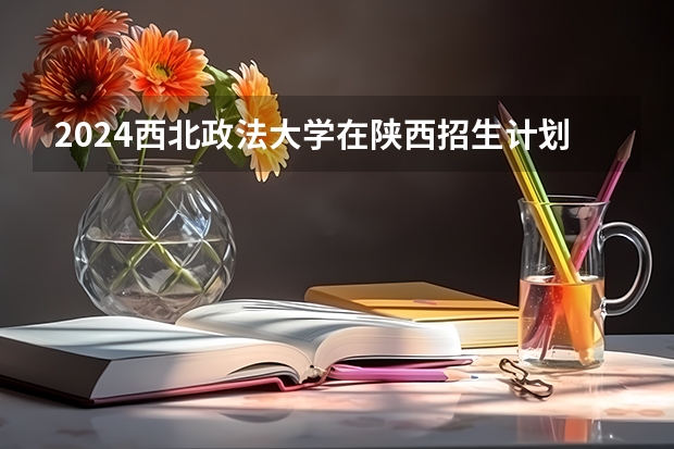 2024西北政法大学在陕西招生计划