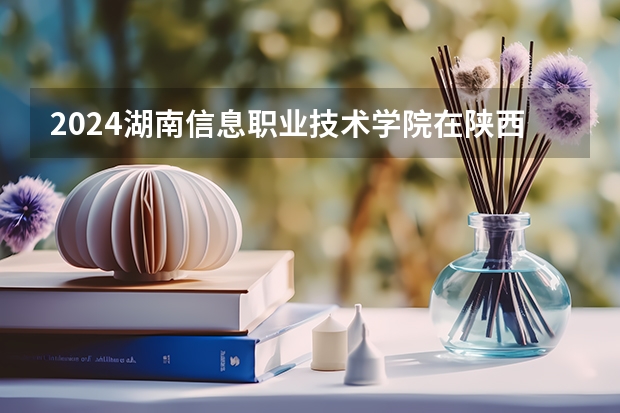 2024湖南信息职业技术学院在陕西招生计划