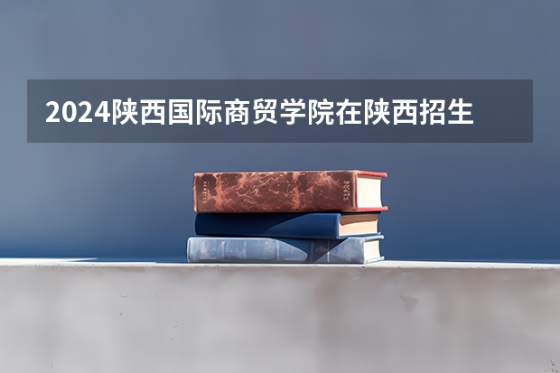 2024陕西国际商贸学院在陕西招生计划