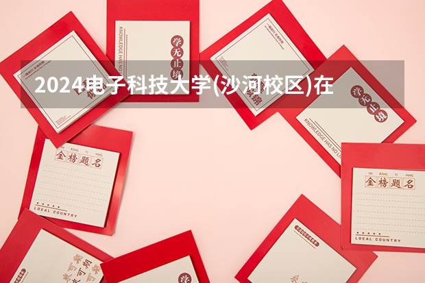 2024电子科技大学(沙河校区)在广西招生计划