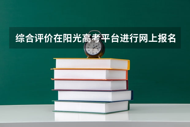 综合评价在阳光高考平台进行网上报名的流程是什么样的?