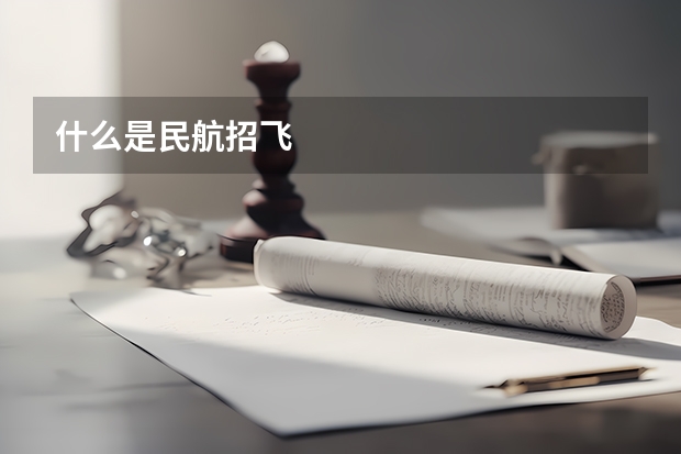 什么是民航招飞